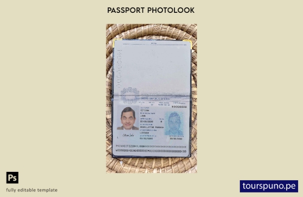 Listo para imprimir la plantilla de aspecto fotográfico actual del pase de India